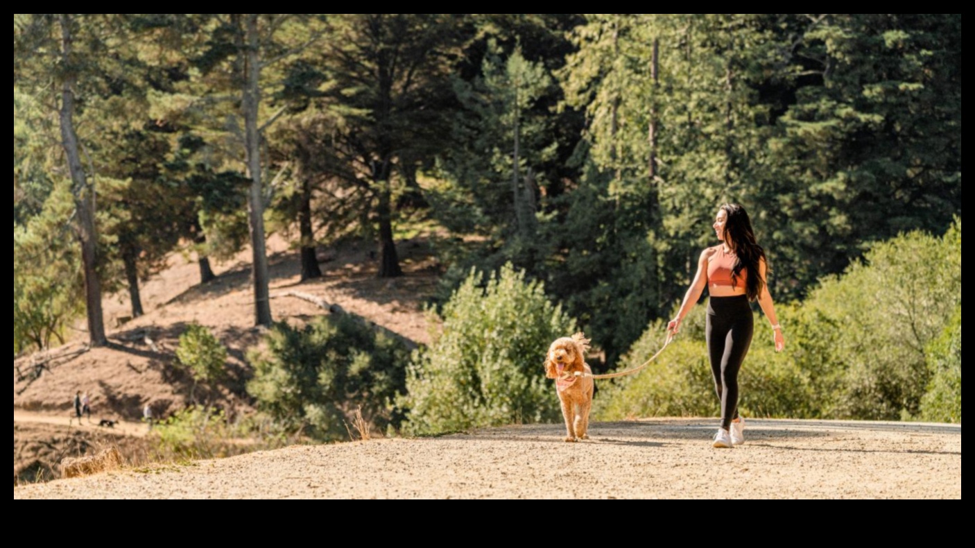 O plimbare în parc: explorarea aventurilor în aer liber cu câinele tău