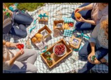 Perfecțiune de picnic 5 meșteșuguri culinare pentru a -ți uda oaspeții